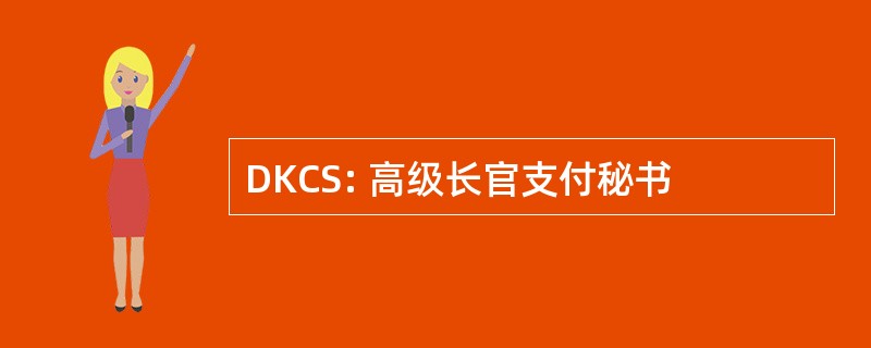 DKCS: 高级长官支付秘书