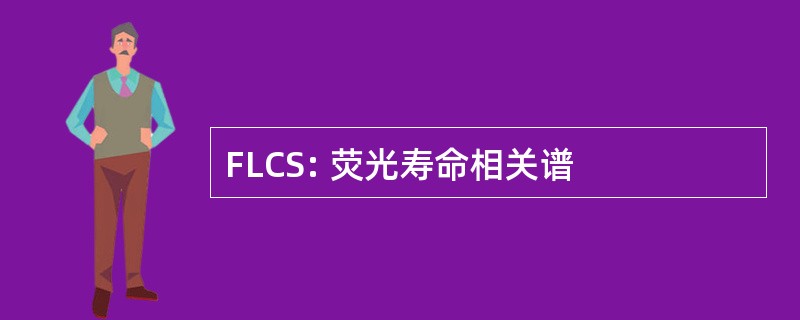 FLCS: 荧光寿命相关谱