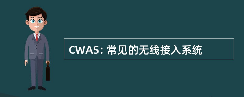 CWAS: 常见的无线接入系统