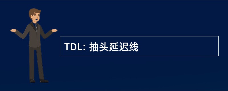 TDL: 抽头延迟线