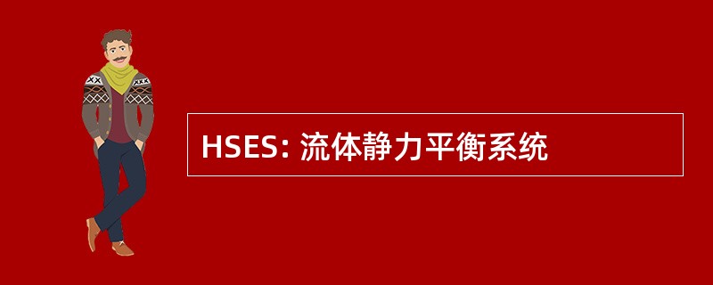 HSES: 流体静力平衡系统