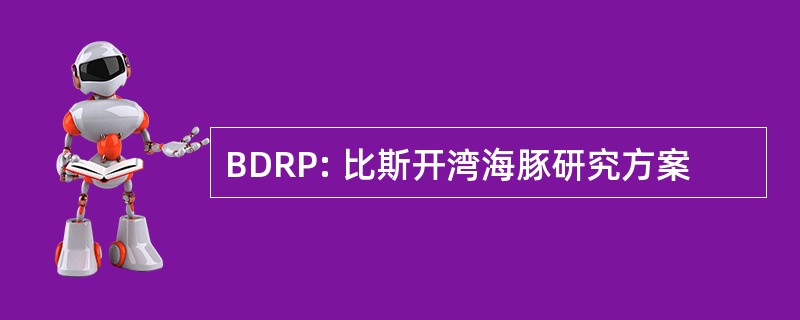 BDRP: 比斯开湾海豚研究方案