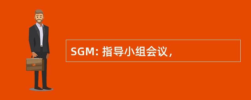 SGM: 指导小组会议，