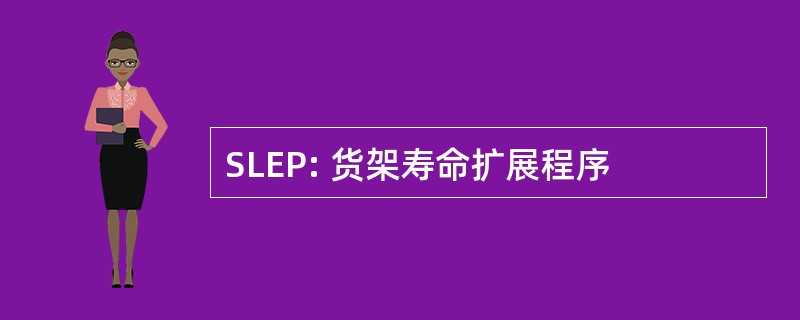 SLEP: 货架寿命扩展程序