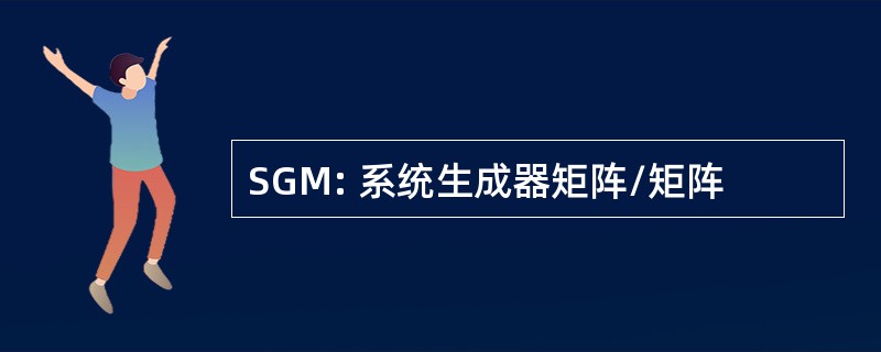 SGM: 系统生成器矩阵/矩阵