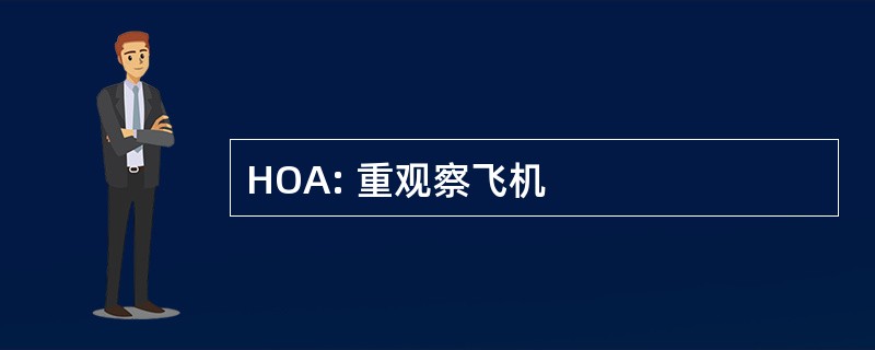 HOA: 重观察飞机