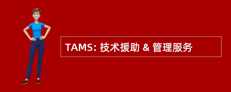 TAMS: 技术援助 & 管理服务