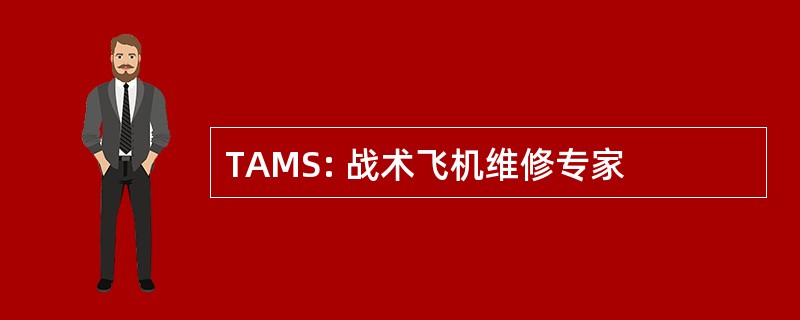 TAMS: 战术飞机维修专家