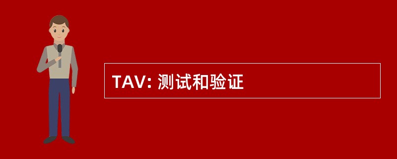 TAV: 测试和验证