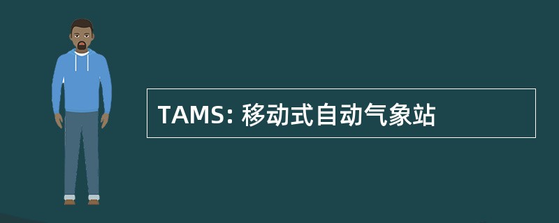 TAMS: 移动式自动气象站