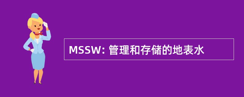 MSSW: 管理和存储的地表水