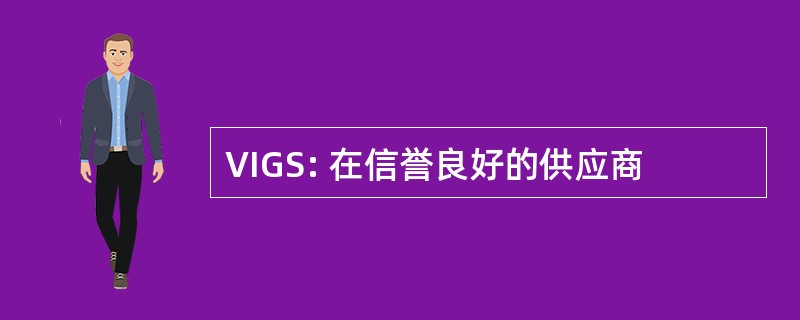 VIGS: 在信誉良好的供应商