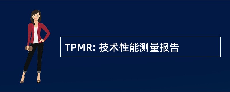 TPMR: 技术性能测量报告