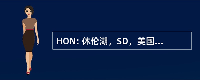 HON: 休伦湖，SD，美国-休伦湖地区机场