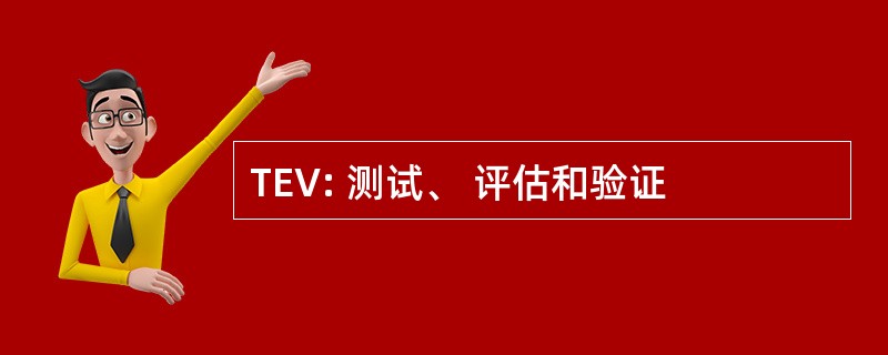 TEV: 测试、 评估和验证