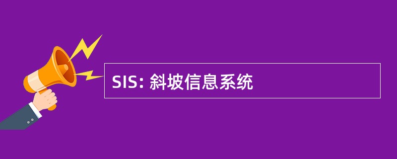 SIS: 斜坡信息系统