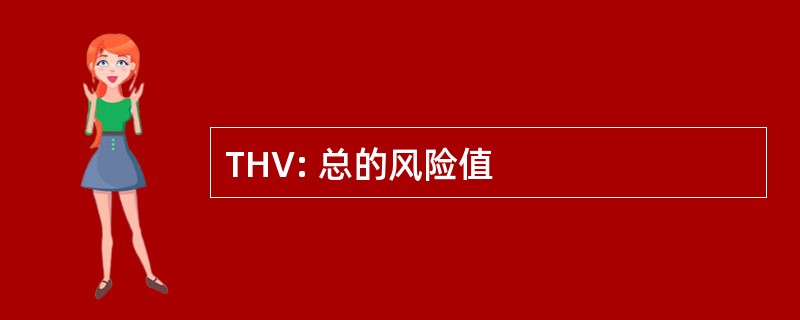 THV: 总的风险值