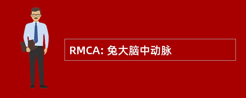 RMCA: 兔大脑中动脉