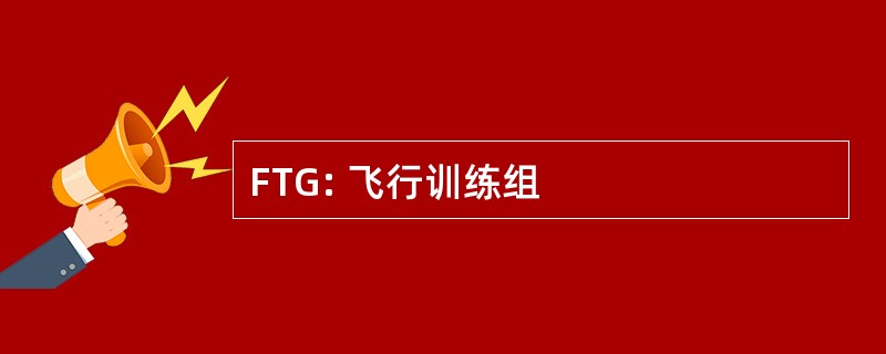 FTG: 飞行训练组