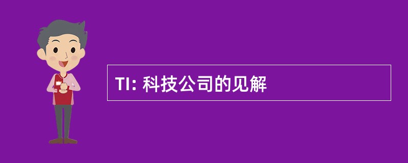 TI: 科技公司的见解