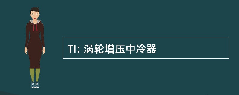 TI: 涡轮增压中冷器