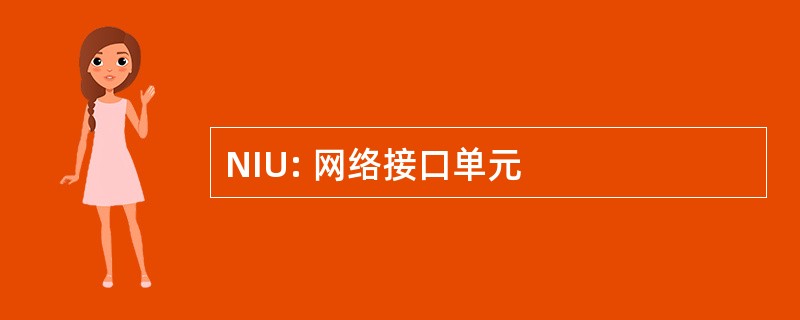 NIU: 网络接口单元