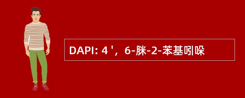 DAPI: 4 &#039;，6-脒-2-苯基吲哚