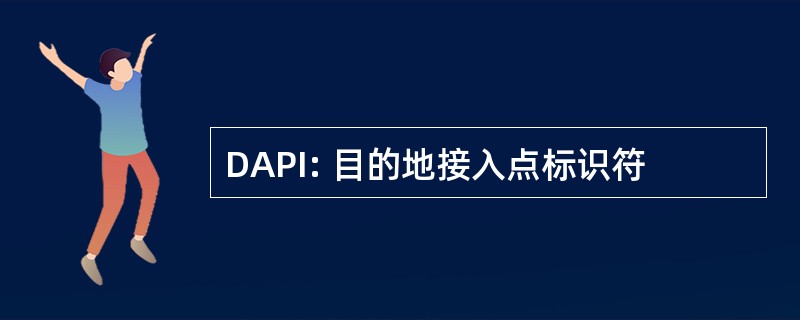 DAPI: 目的地接入点标识符