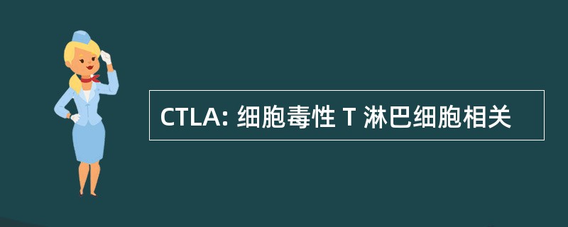 CTLA: 细胞毒性 T 淋巴细胞相关