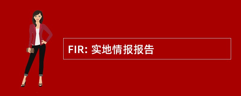 FIR: 实地情报报告