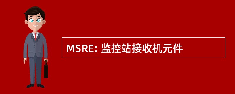 MSRE: 监控站接收机元件