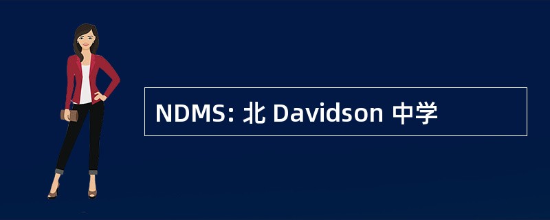 NDMS: 北 Davidson 中学