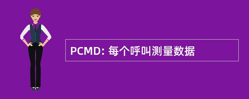 PCMD: 每个呼叫测量数据