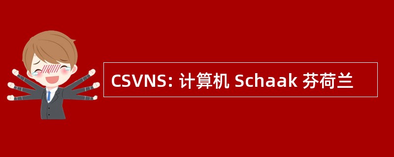 CSVNS: 计算机 Schaak 芬荷兰