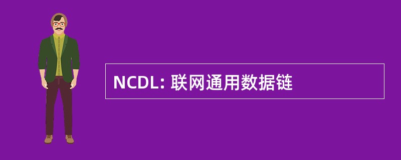 NCDL: 联网通用数据链