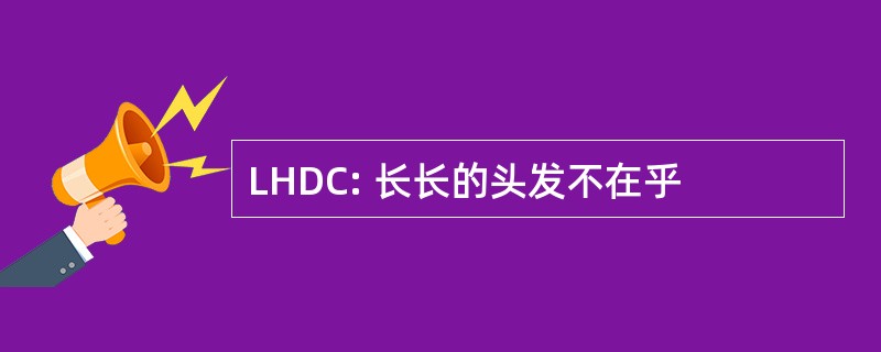 LHDC: 长长的头发不在乎