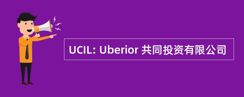 UCIL: Uberior 共同投资有限公司