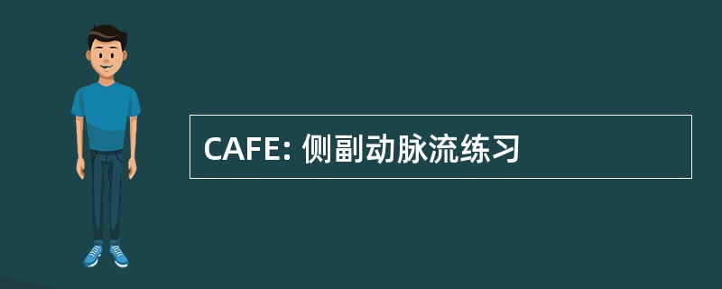 CAFE: 侧副动脉流练习