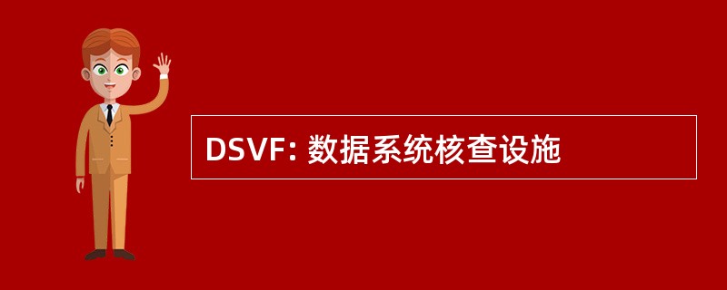 DSVF: 数据系统核查设施