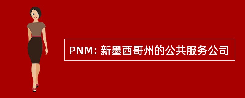 PNM: 新墨西哥州的公共服务公司