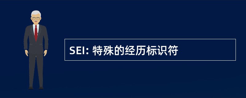 SEI: 特殊的经历标识符