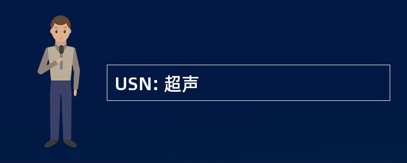 USN: 超声