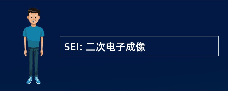 SEI: 二次电子成像