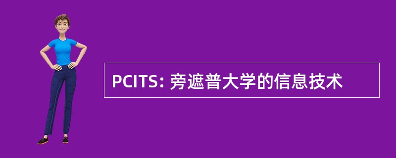 PCITS: 旁遮普大学的信息技术