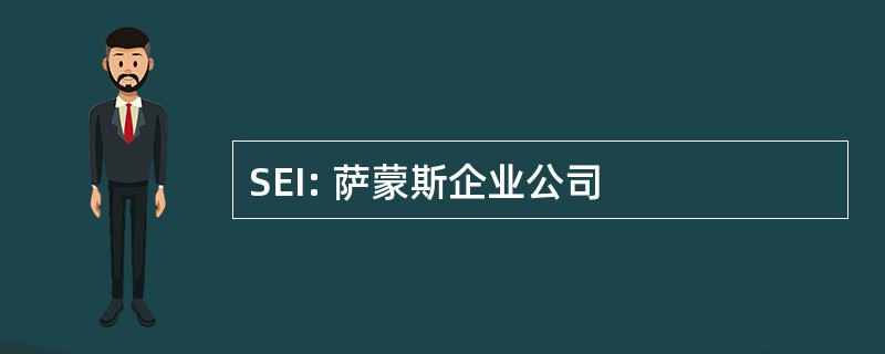 SEI: 萨蒙斯企业公司