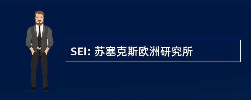 SEI: 苏塞克斯欧洲研究所