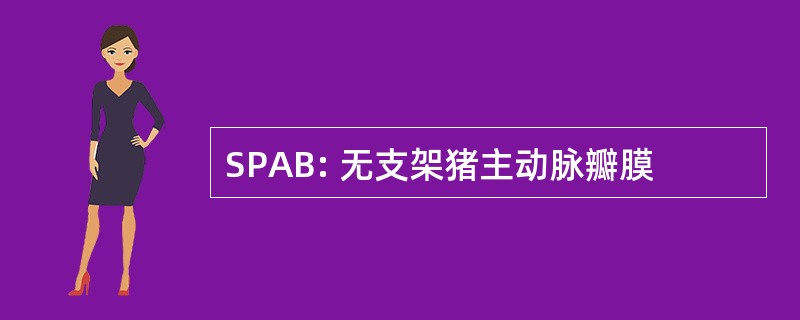 SPAB: 无支架猪主动脉瓣膜