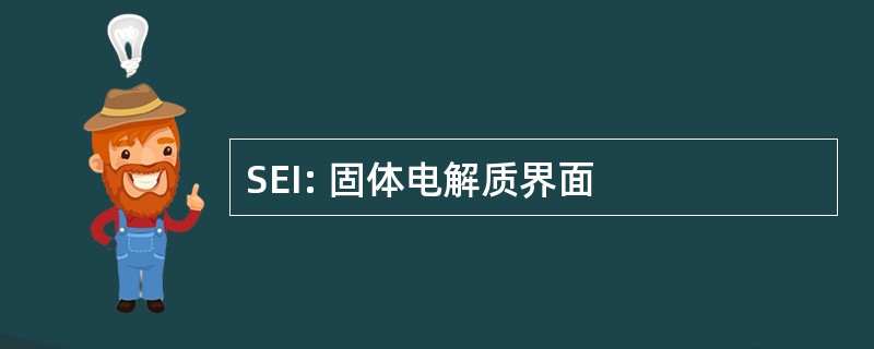 SEI: 固体电解质界面