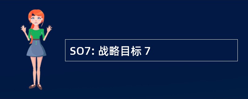 SO7: 战略目标 7