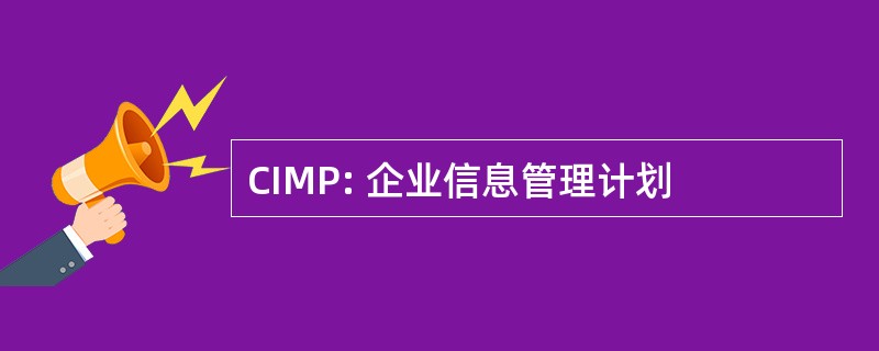 CIMP: 企业信息管理计划